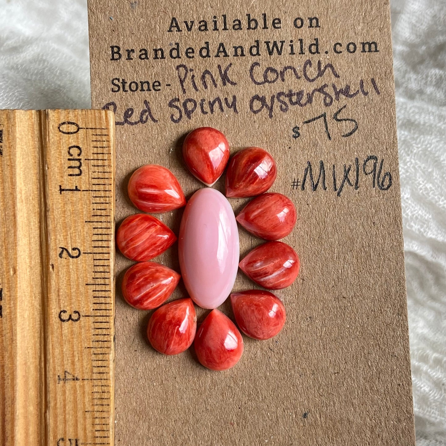 Oyster Shell / Pink Conch Cabochon - Mix196 6FD47158-04D2-4C1D-932B-15B55CFF32A2 Brandedandwild.com