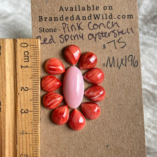 Oyster Shell / Pink Conch Cabochon - Mix196 6FD47158-04D2-4C1D-932B-15B55CFF32A2 Brandedandwild.com