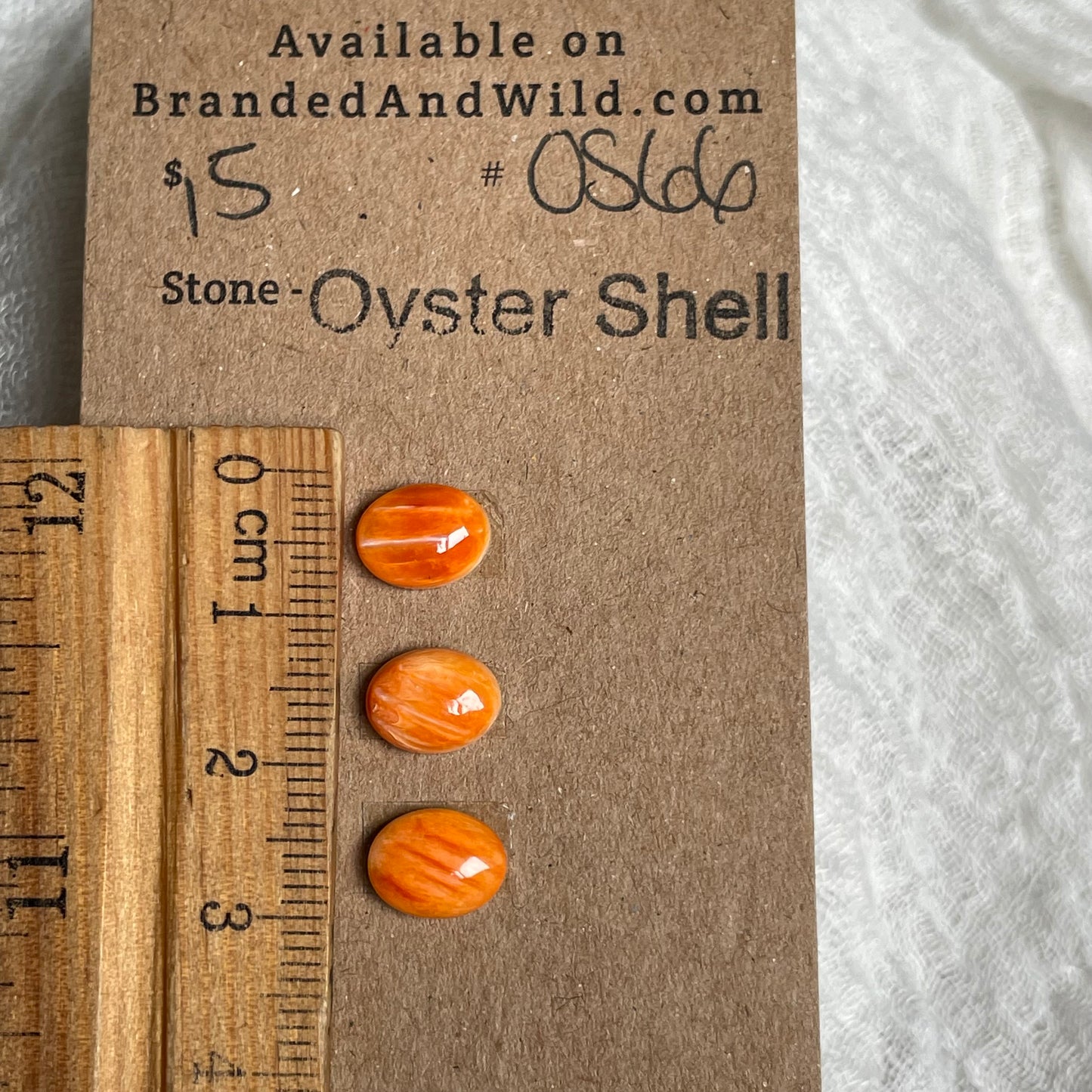 Oyster Shell Cabochon - OS66