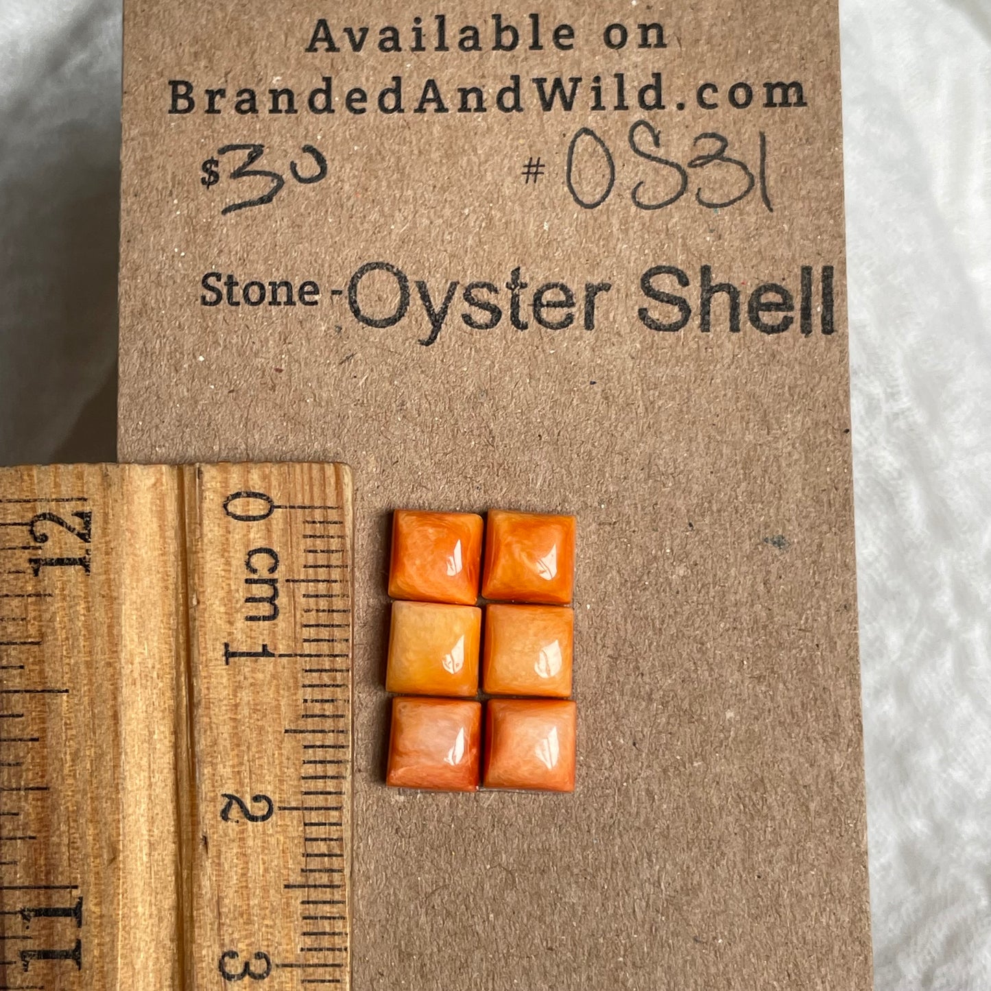 Oyster Shell Cabochon - OS31