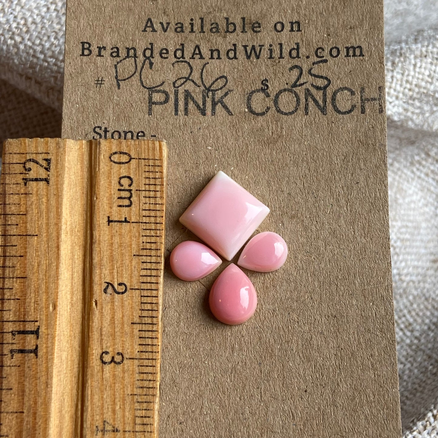 Pink Conch Cabochon - PC26 701CC451-775F-4D9A-B349-FE21C2DD90E0 Brandedandwild.com