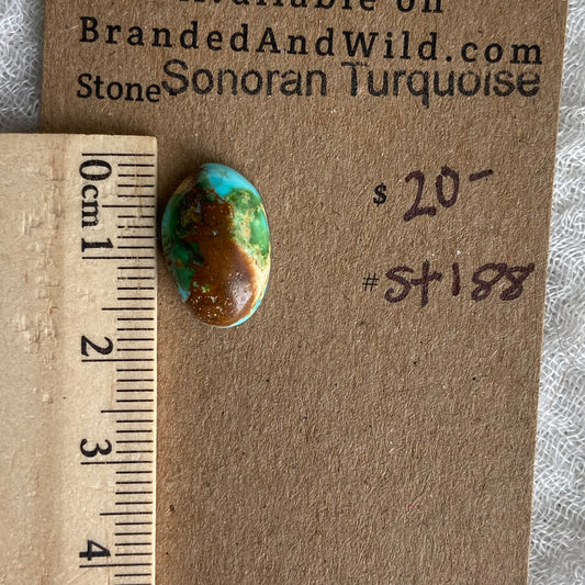 Sonoran Turquoise Cabochon - ST188