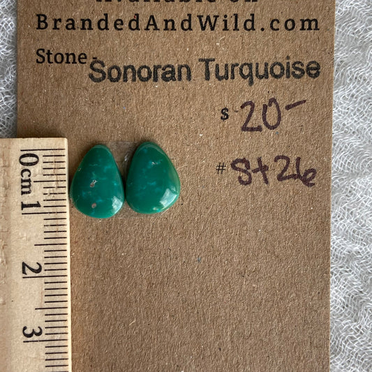 Sonoran Turquoise Cabochon - ST26