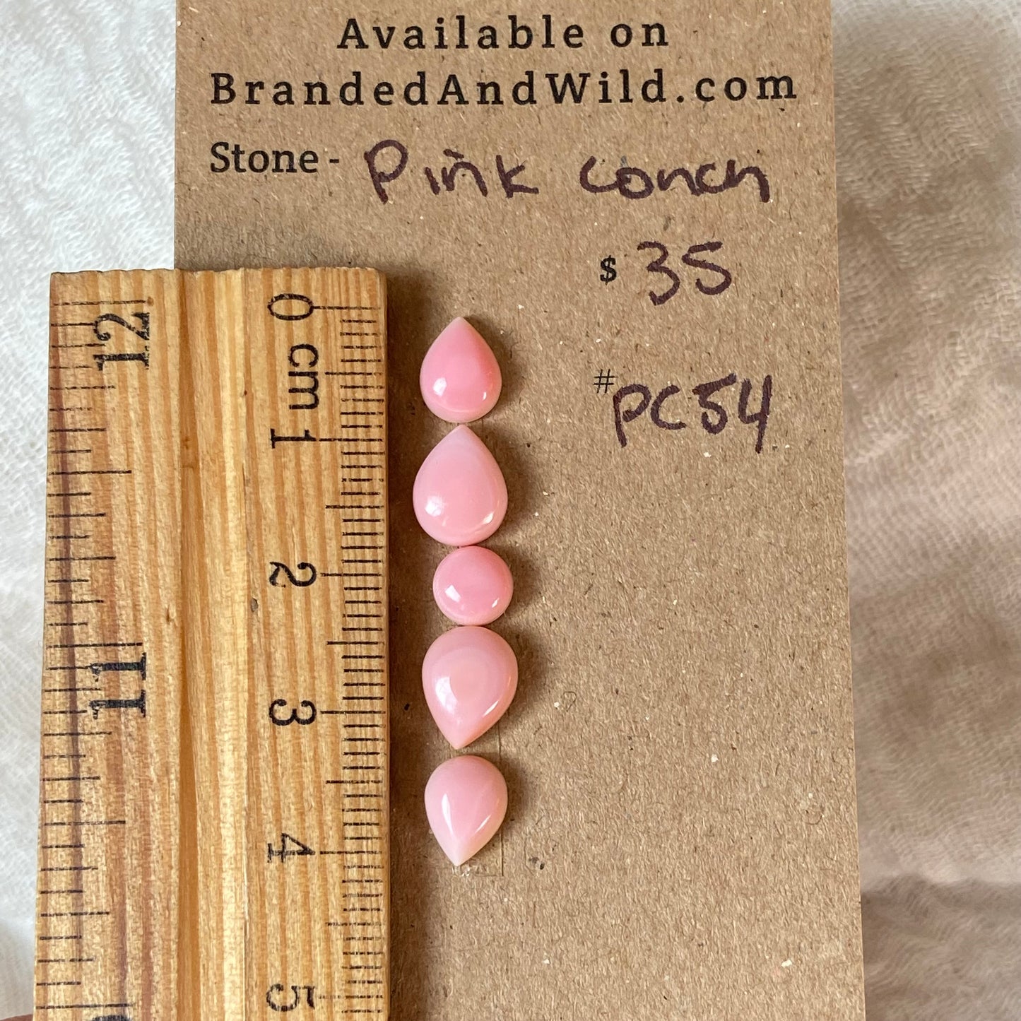 Pink Conch Cabochon - PC54