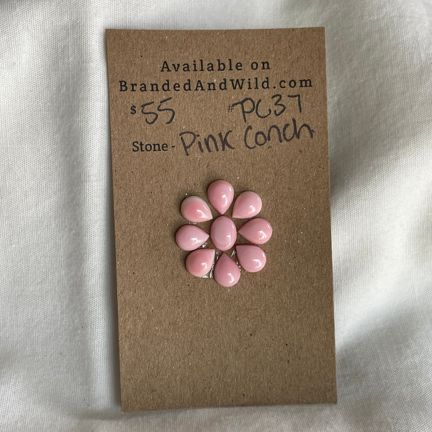 Pink Conch Cabochon - PC37