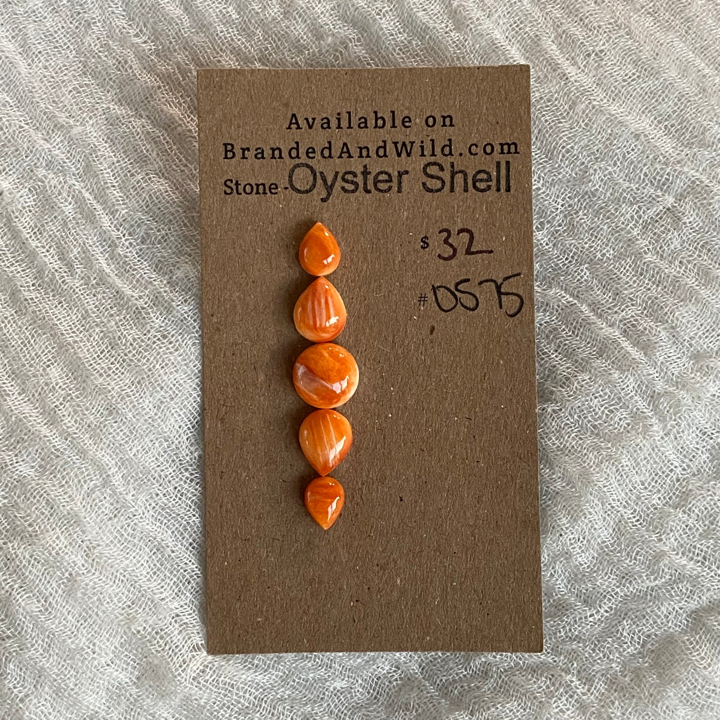Oyster Shell Cabochon - OS75
