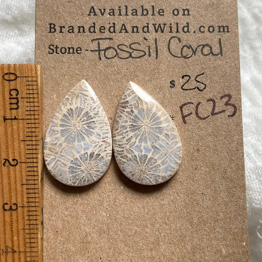 Fossil Coral Cabochon - FC23 706321CE-CB5F-45ED-815C-D77017228ECA Brandedandwild.com