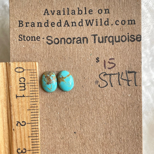 Sonoran Turquoise Cabochon - ST147 706B98BE-9DC8-4A0C-9EFB-FDB853D9077C Brandedandwild.com