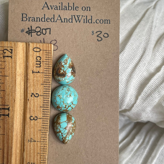 #8 Turquoise Cabochon - #807 707FEB12-3A36-4FE4-8BF4-2AA7A293A511 Brandedandwild.com