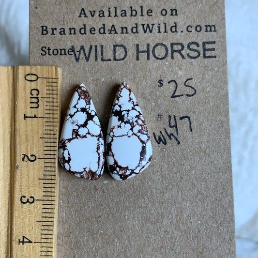 Wild Horse Cabochon - WH47