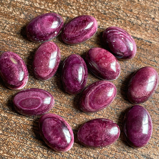 Purple Oyster Shell - 8x12 708C27E9-488E-47AF-A98A-A83ADF72A98A Brandedandwild.com