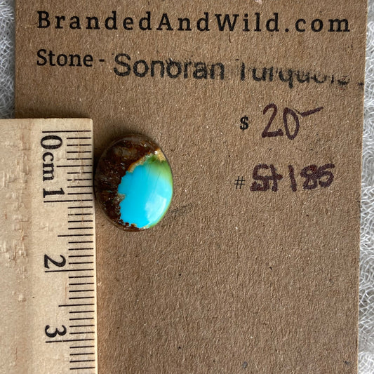 Sonoran Turquoise Cabochon - ST185