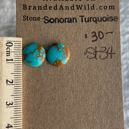 Sonoran Turquoise Cabochon - ST34