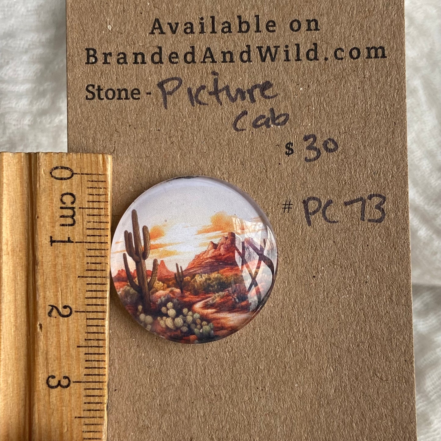 Picture Cabochon - Cabochon - PC73 70FBFCE4-18DE-4302-AAA0-7F6A1B2E8F63 Brandedandwild.com