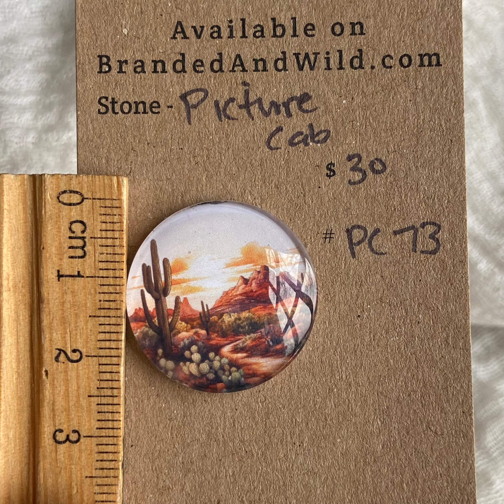 Picture Cabochon - Cabochon - PC73 70FBFCE4-18DE-4302-AAA0-7F6A1B2E8F63 Brandedandwild.com