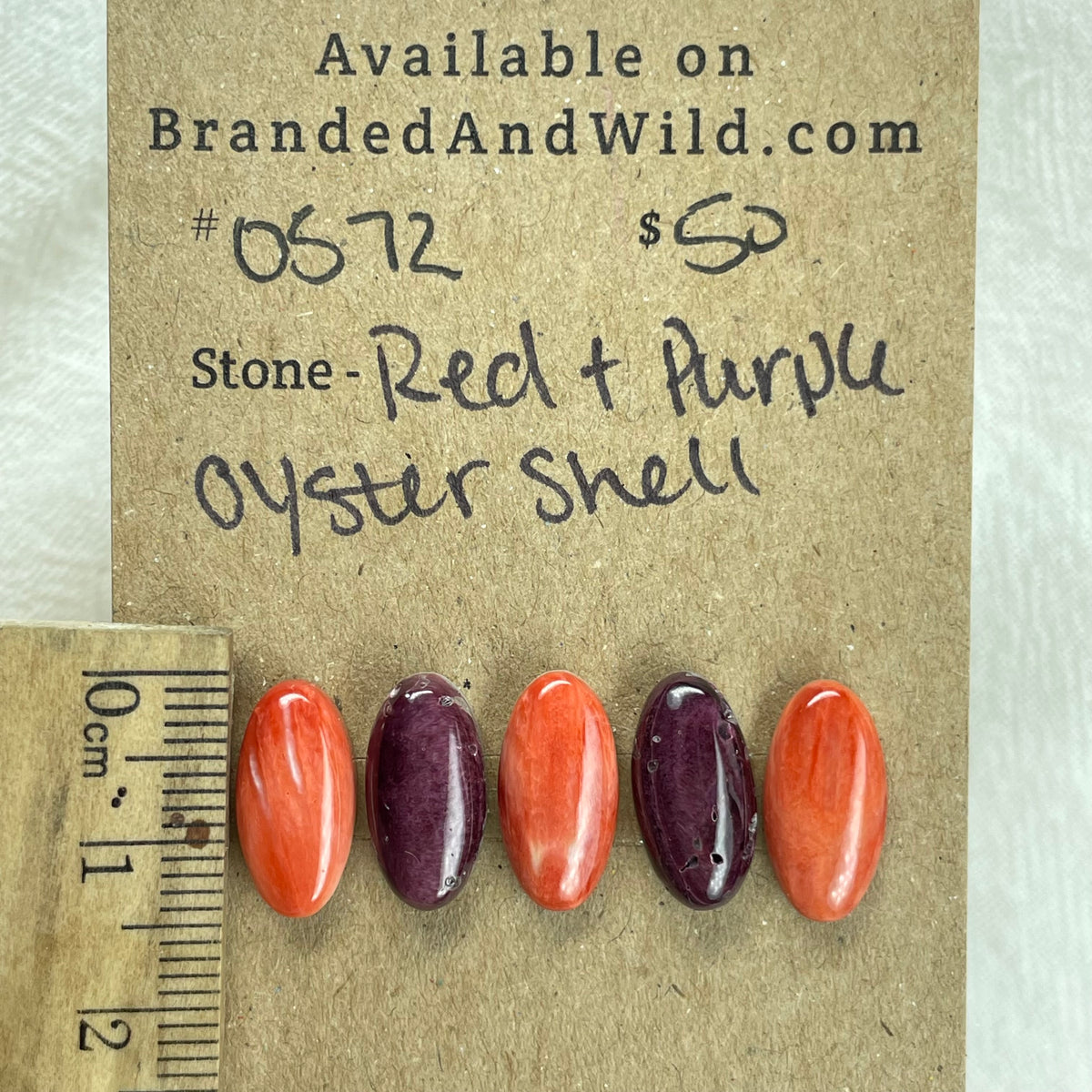 Oyster Shell Cabochon - OS72 7103C5B4-C90A-4E3A-A4F1-2E5431C51985 Brandedandwild.com