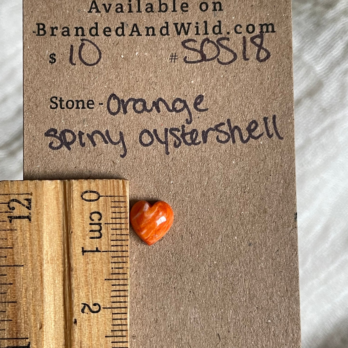 Spiny Oyster Shell Cabochon - SOS18 7119F36B-2EA1-4901-A0D9-CBB27E3E1025 Brandedandwild.com