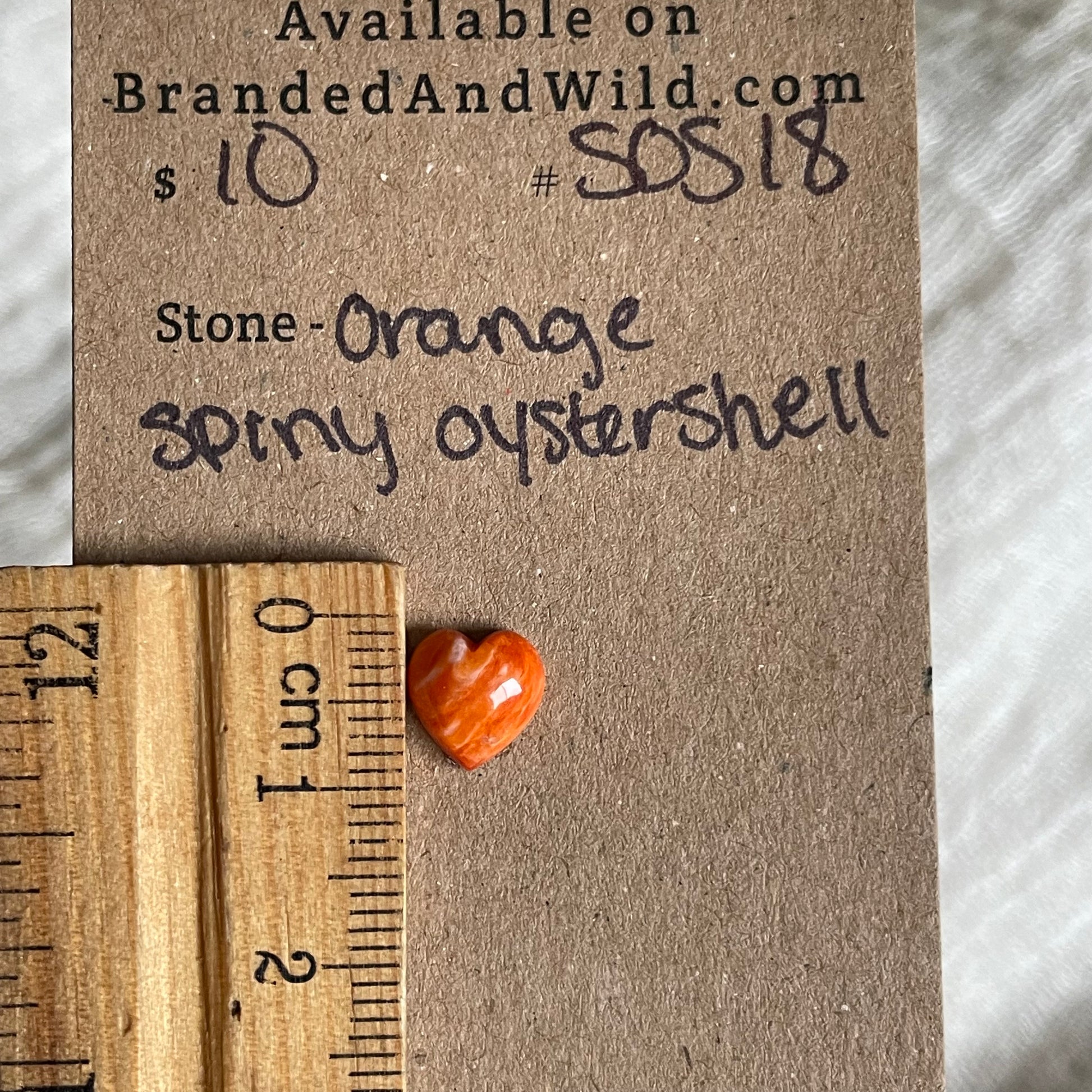 Spiny Oyster Shell Cabochon - SOS18 7119F36B-2EA1-4901-A0D9-CBB27E3E1025 Brandedandwild.com