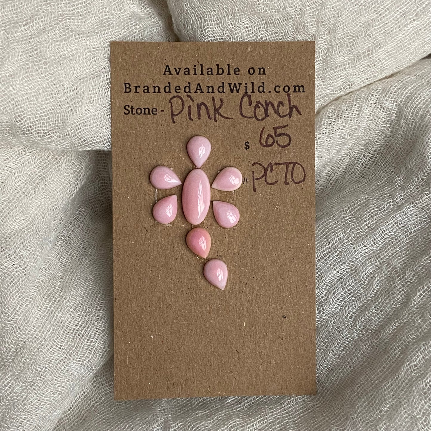 Pink Conch Cabochon - PC70