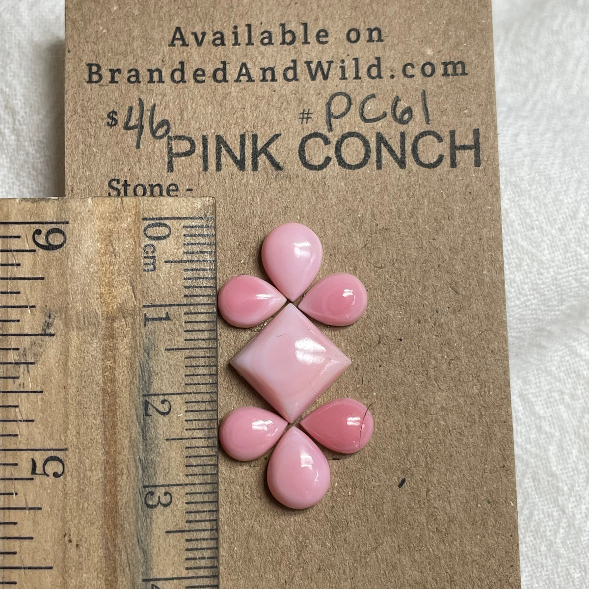 Pink Conch Cabochon - PC61 713FBA35-4E0D-4D2B-8D53-8E72C0177D34 Brandedandwild.com