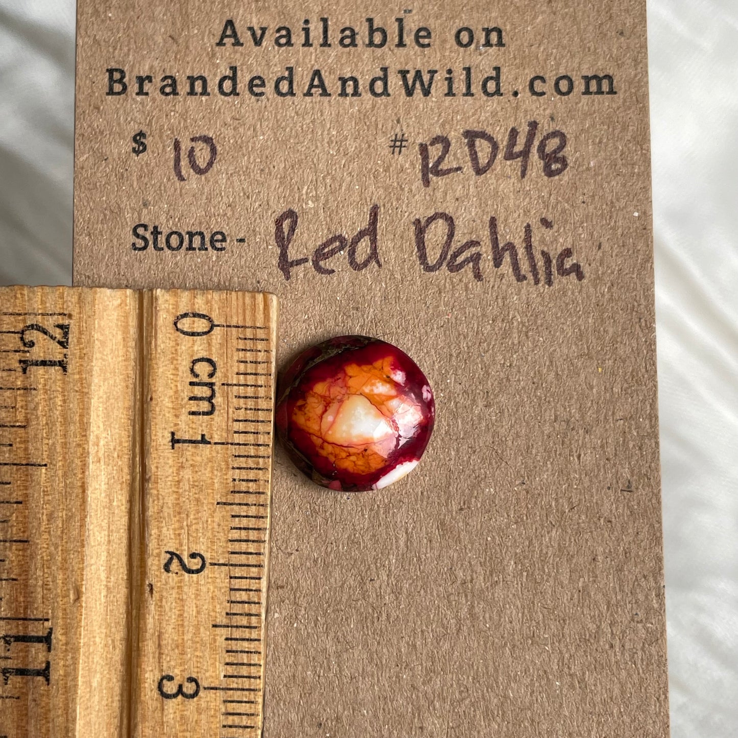 Red Dahlia Cabochon - RD48 713FF242-E36B-4E55-AF6D-7D968ADB2AF1 Brandedandwild.com