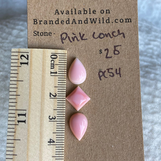 Pink Conch Cabochon - PC54