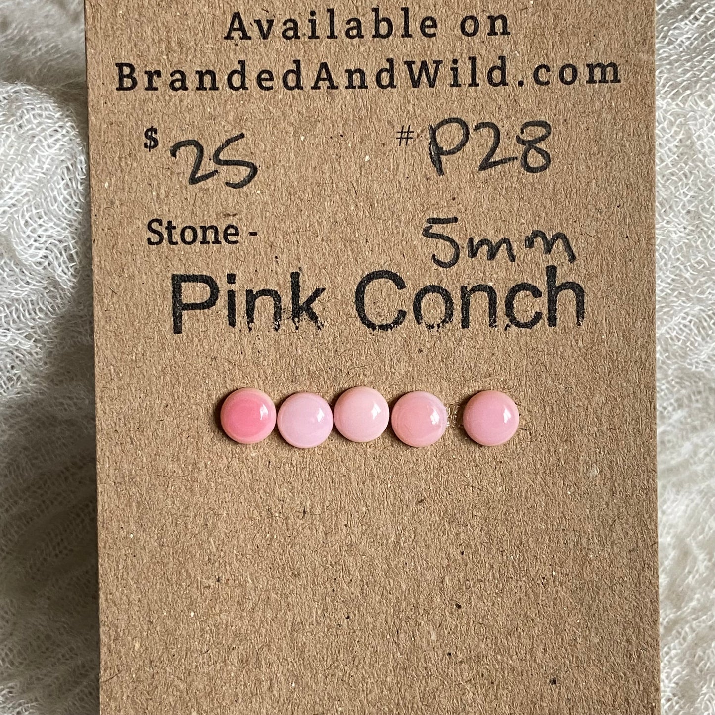 Pink Conch Cabochon - P28 714E4C44-EB1C-4333-8C34-D4B83E179406 Brandedandwild.com