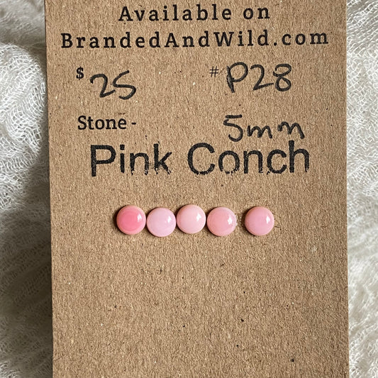 Pink Conch Cabochon - P28 714E4C44-EB1C-4333-8C34-D4B83E179406 Brandedandwild.com