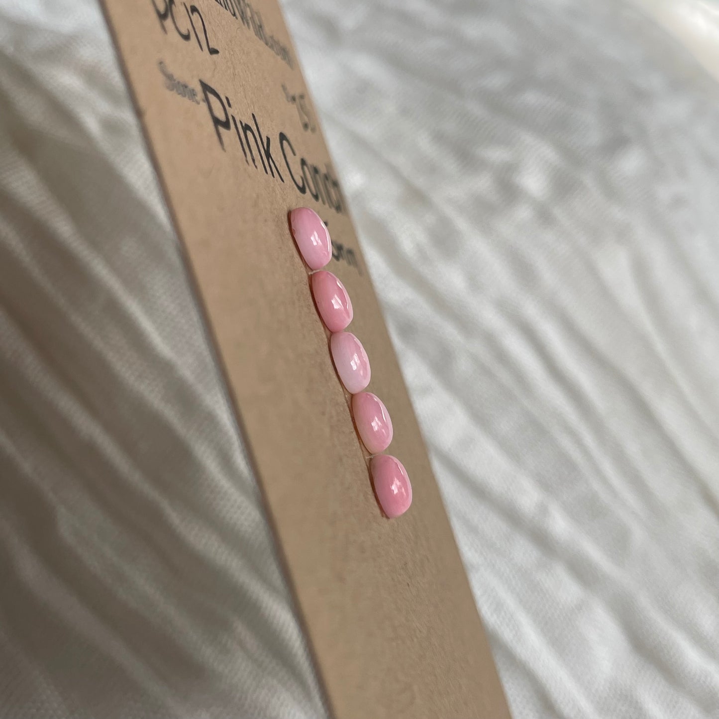 Pink Conch Cabochon - PC12 717839E5-B97F-43BB-8FC3-15A8F588C246 Brandedandwild.com