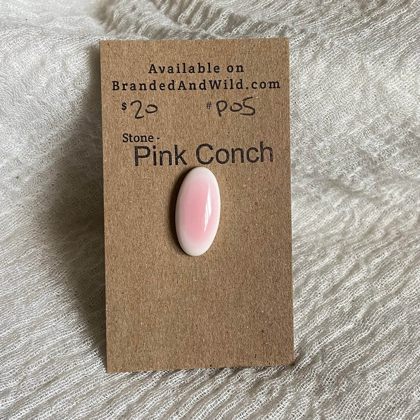 Pink Conch Cabochon - P05 71821213-505A-4494-B621-0B935BD24F1D Brandedandwild.com