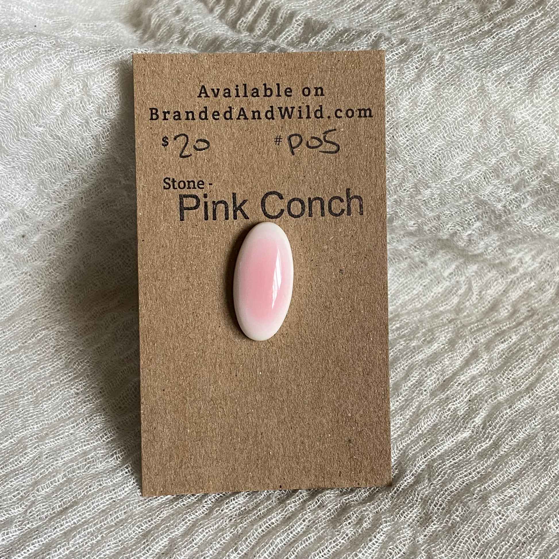 Pink Conch Cabochon - P05 71821213-505A-4494-B621-0B935BD24F1D Brandedandwild.com