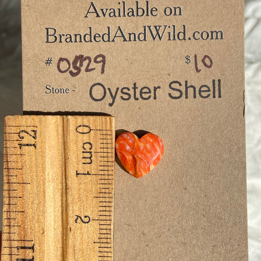 Oystershell Cabochon - OS29 7182B4D5-95B2-479E-A481-9D935044FB19 Brandedandwild.com