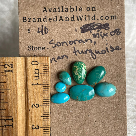Sonoran / Kingman Turquoise Cabochon - Mix08 71C452F2-6CE2-4A2F-B615-242535ADBED1 Brandedandwild.com