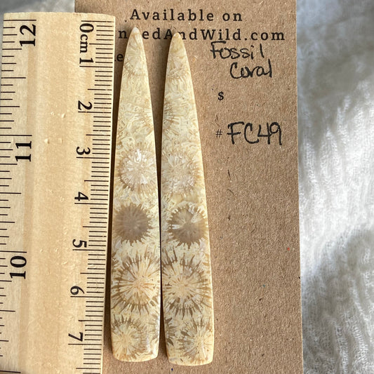Fossil Coral Cabochon - FC49