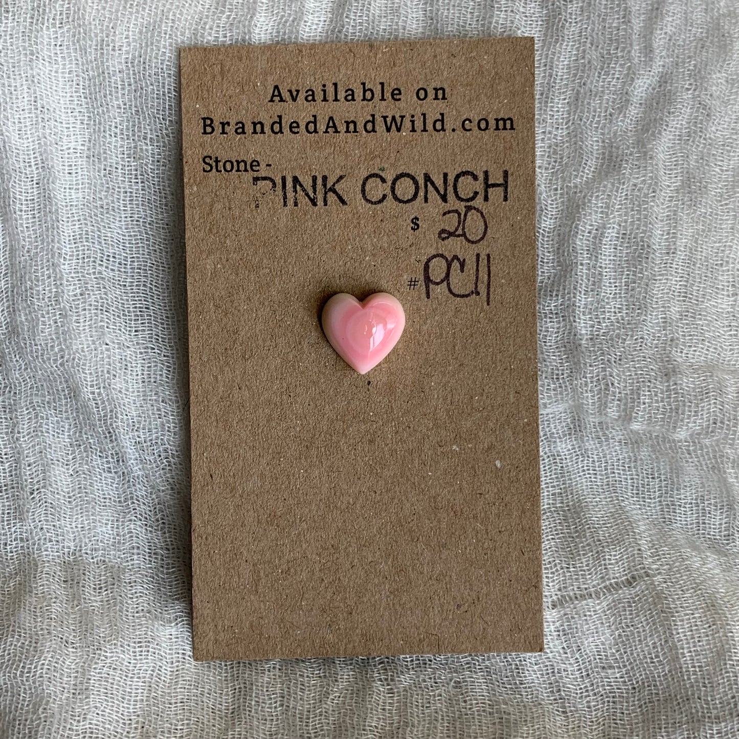 Pink Conch Cabochon - PC11