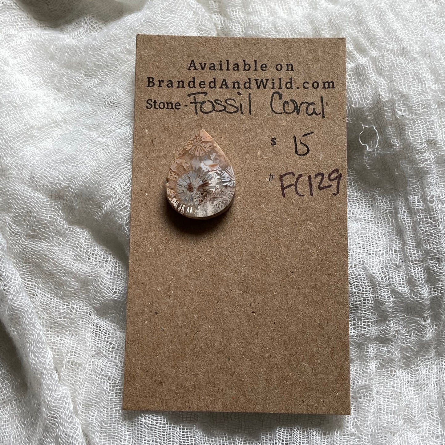 Fossil Coral Cabochon - FC129