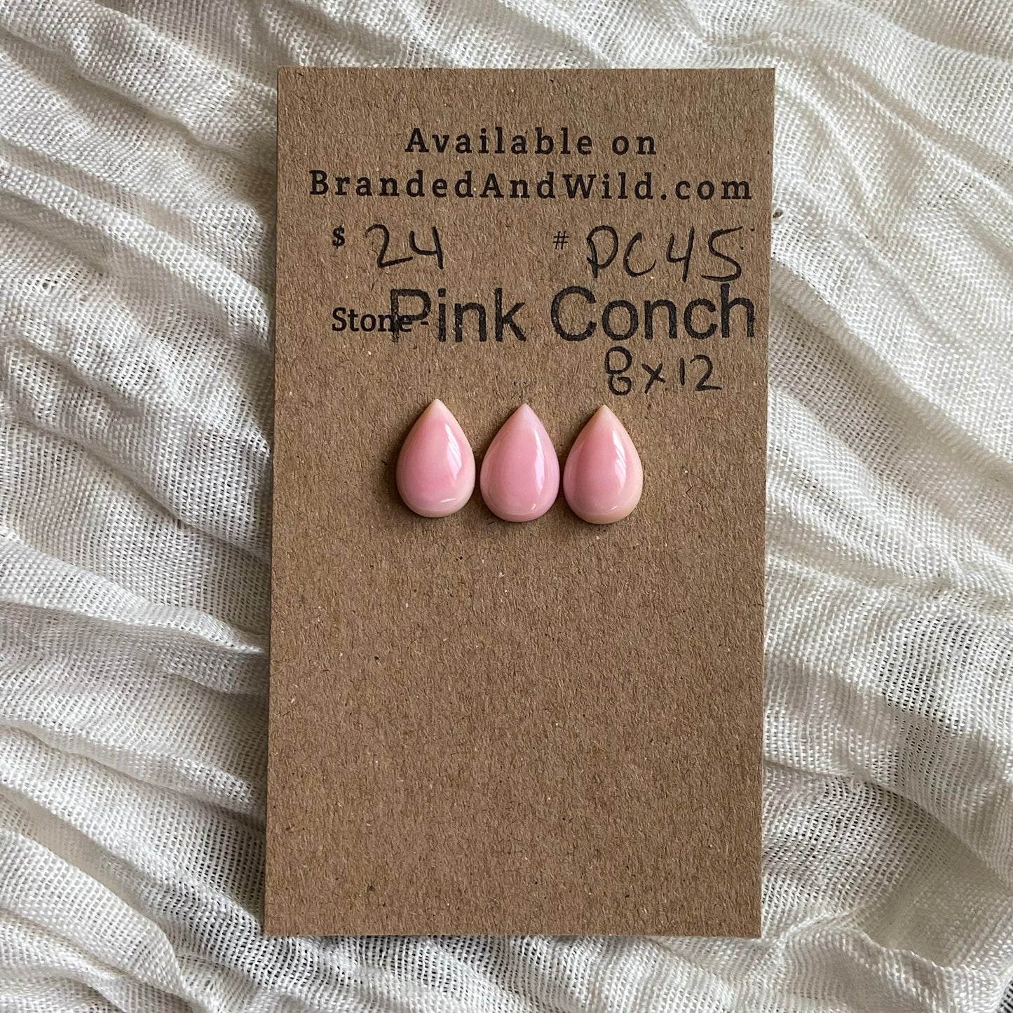 Pink Conch Cabochon - PC45