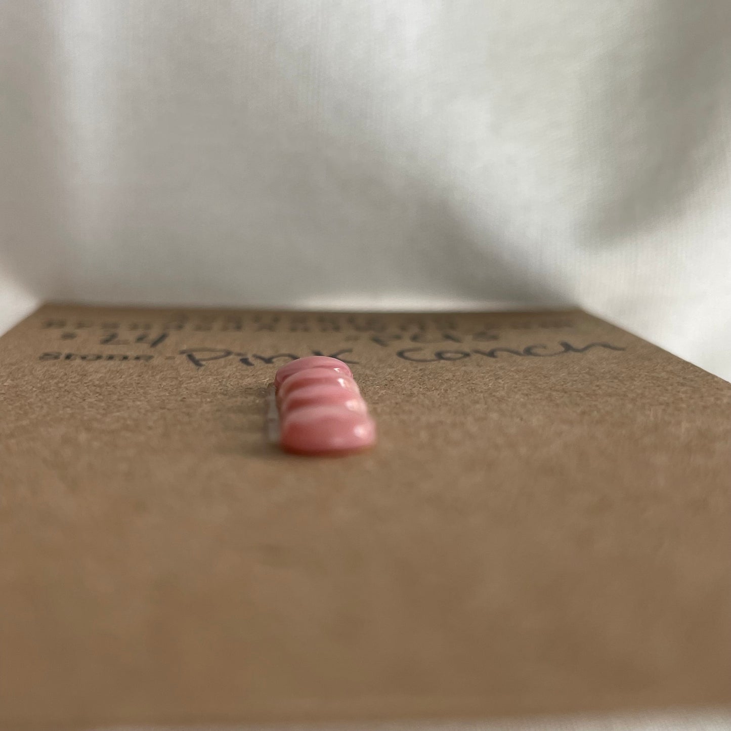 Pink Conch Cabochon - PC13