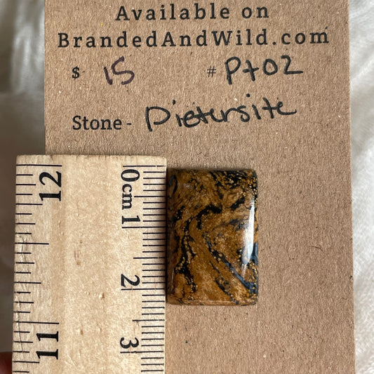 Pietersite Cabochon - PT02 725EB843-127F-4CEA-BD04-B2C6BE69FA84 Brandedandwild.com