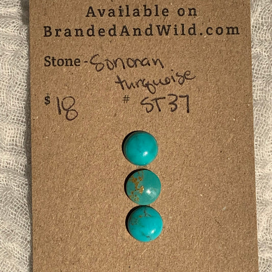 Sonoran Turquoise Cabochon - ST37