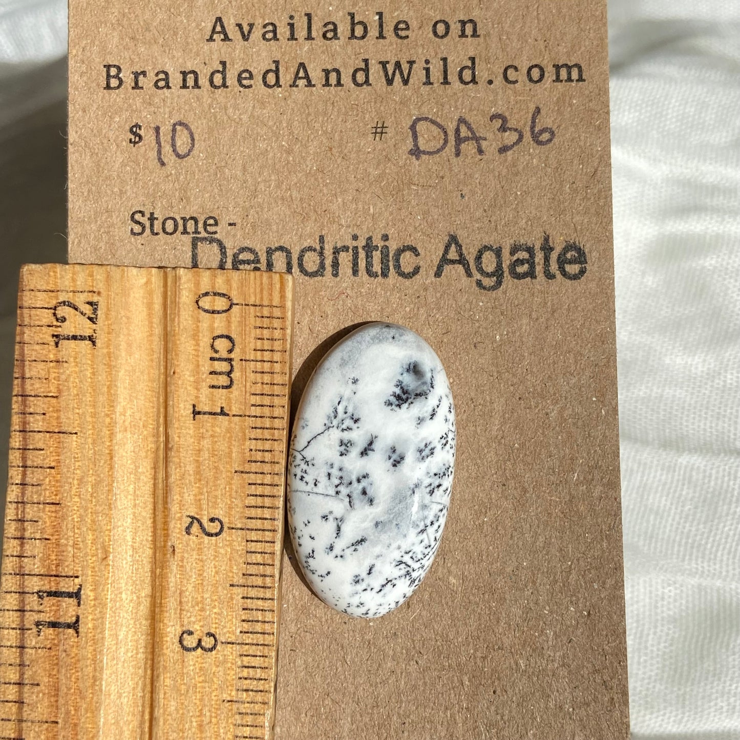 Dendritic Agate Cabochon - DA36 7270662B-32D2-4DE1-BBB6-484B97101CAE Brandedandwild.com