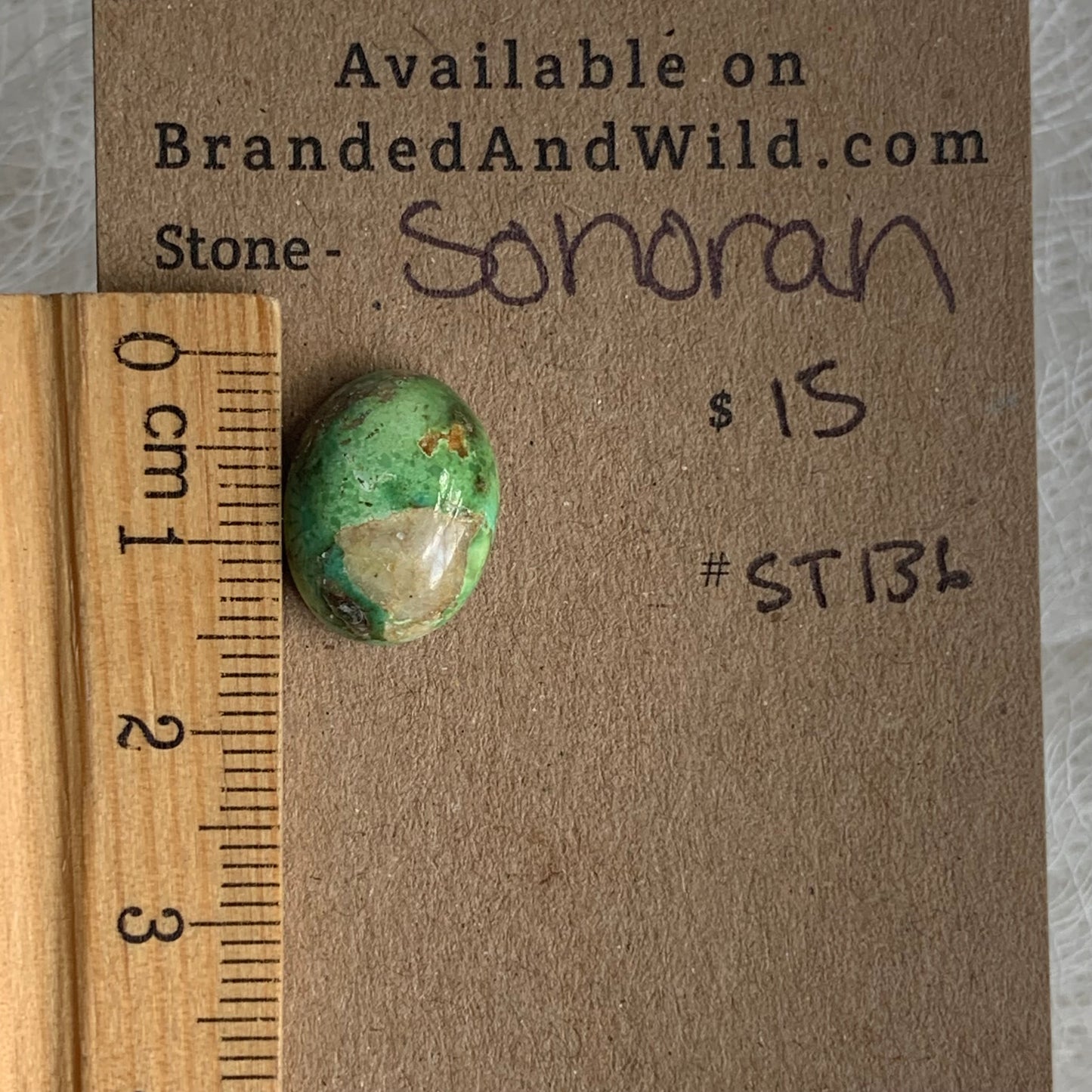 Sonoran Turquoise Cabochon - ST136