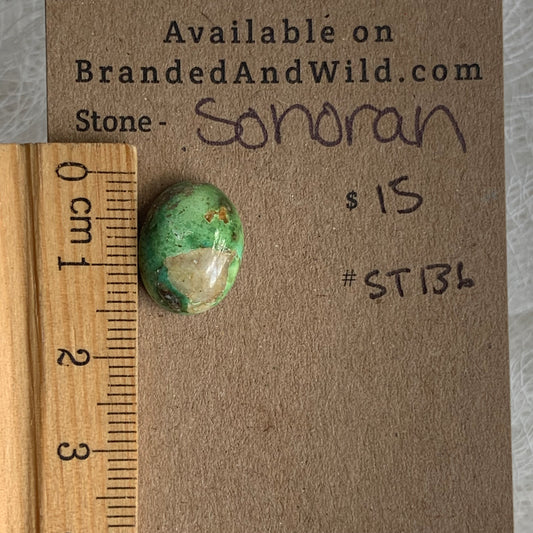 Sonoran Turquoise Cabochon - ST136