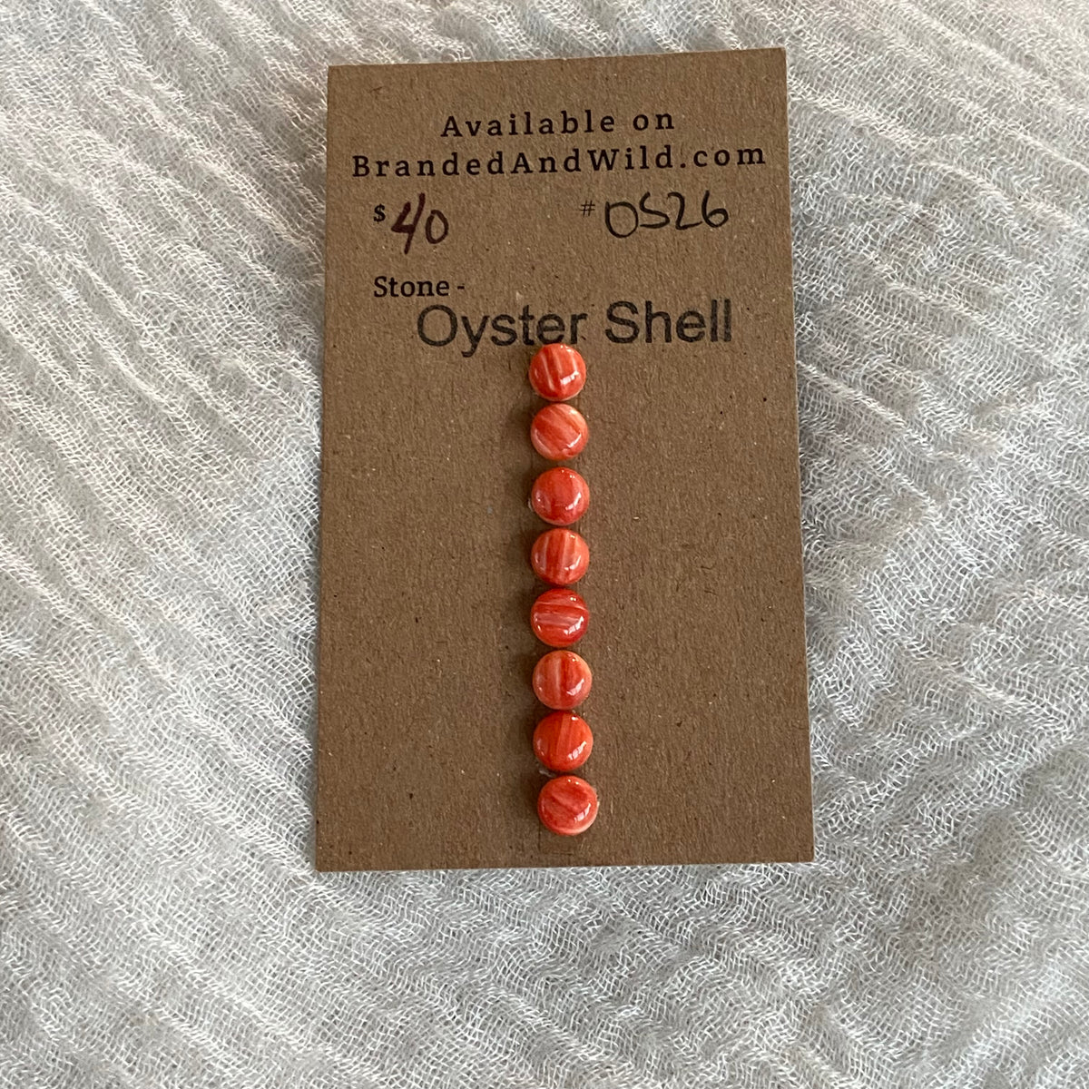 Oyster Shell Cabochon - OS26
