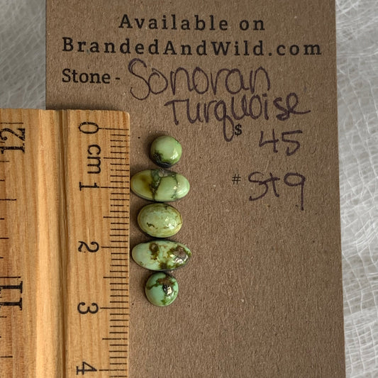 Sonoran Turquoise Cabochon - ST9