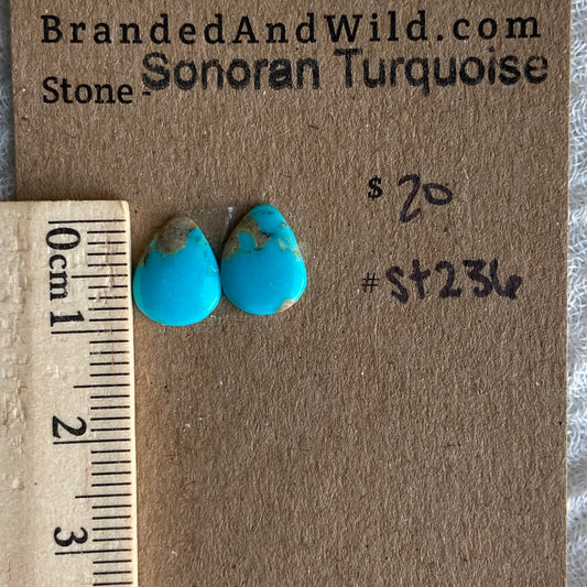 Sonoran Turquoise Cabochon - ST236
