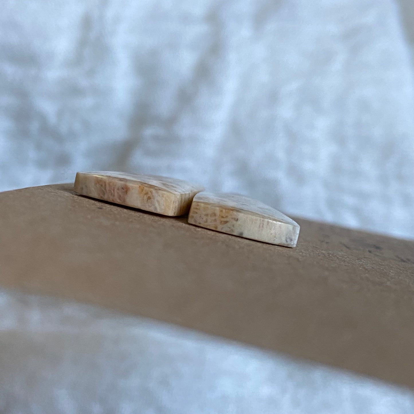 Fossil Coral Cabochon - FC103