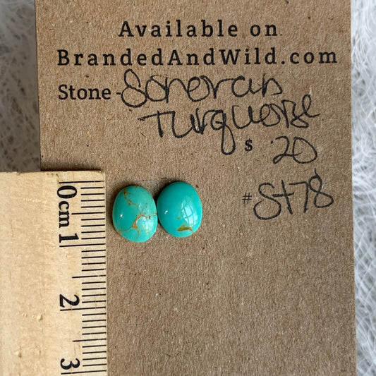 Sonoran Turquoise Cabochon - ST78