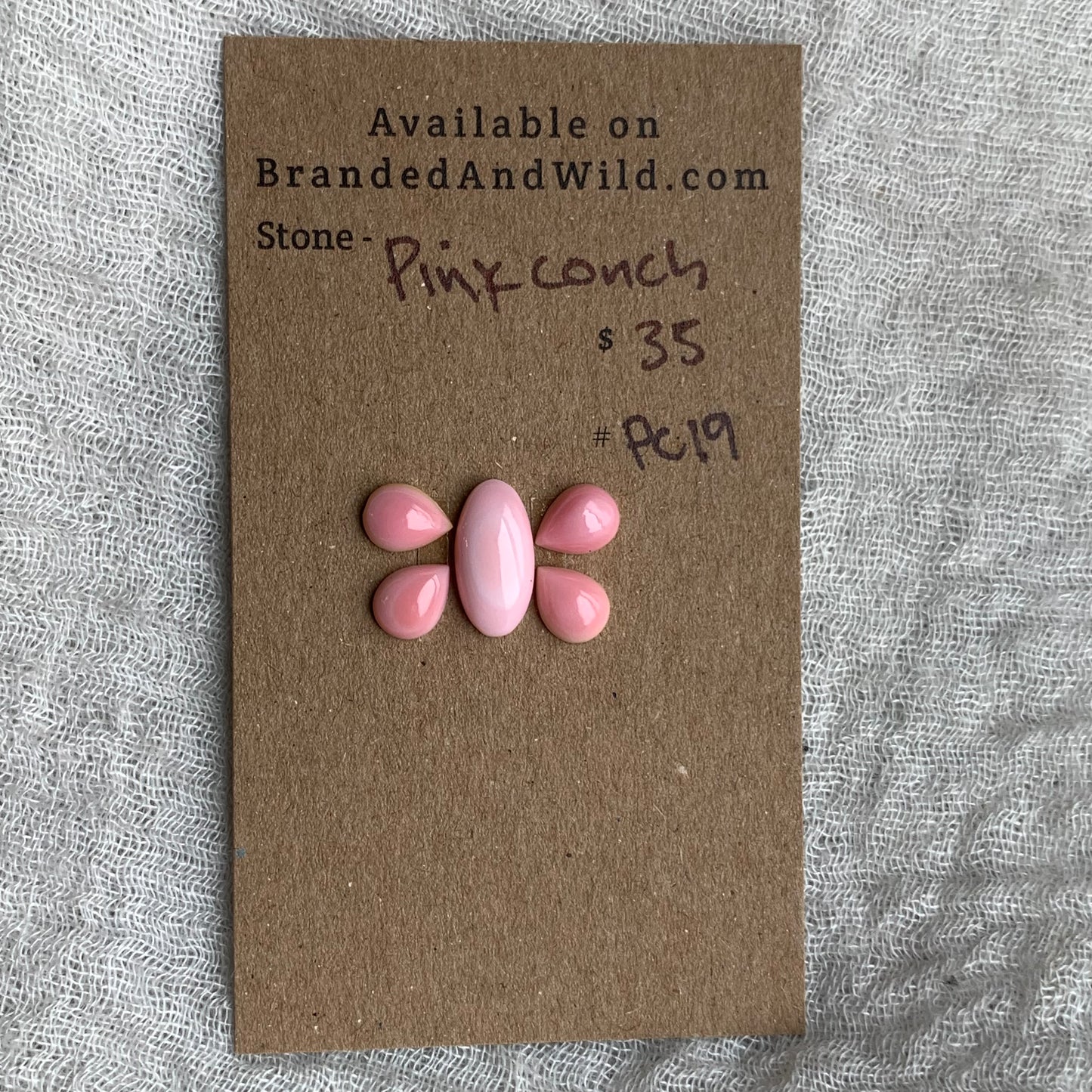 Pink Conch Cabochon - PC19