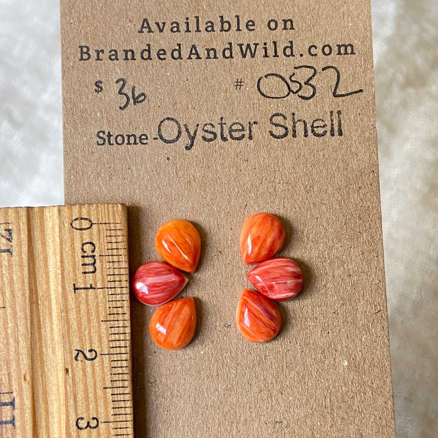 Oystershell Cabochon - OS32 739E01D9-E977-4DB5-BE36-AA2D799FABCE Brandedandwild.com